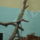 Dsc02264_339602_89808_t