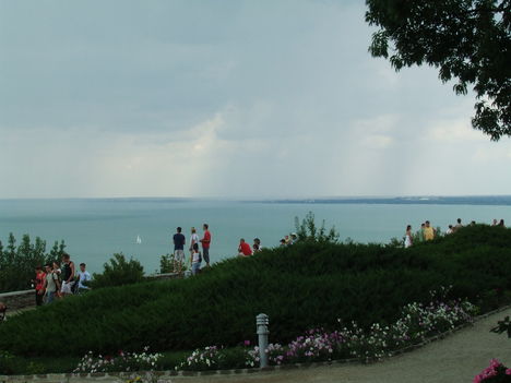 DSCF0352