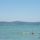 Balatonboglar_0007_303810_98977_t