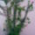 Ez__kutya_tej_fele_ha_jol_tudom_303136_67419_t
