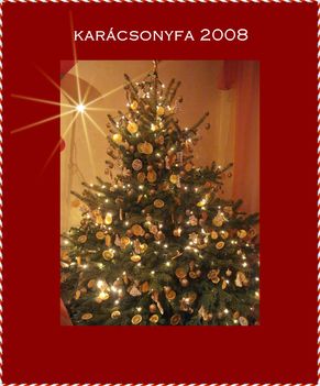 karácsonyfa 2008