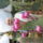 Kep_1020_303441_63048_t