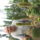 Kep_1046_303450_93771_t