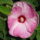 Kep_749_303524_43925_t