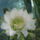 Kep_927_303481_56747_t