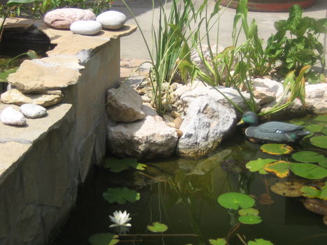 képek 019