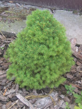 képek 020