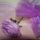 Llila_sall_rozsaval_303761_63664_t
