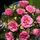 P1070219_33717_944084_t