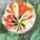 Virag-010_33668_295381_t