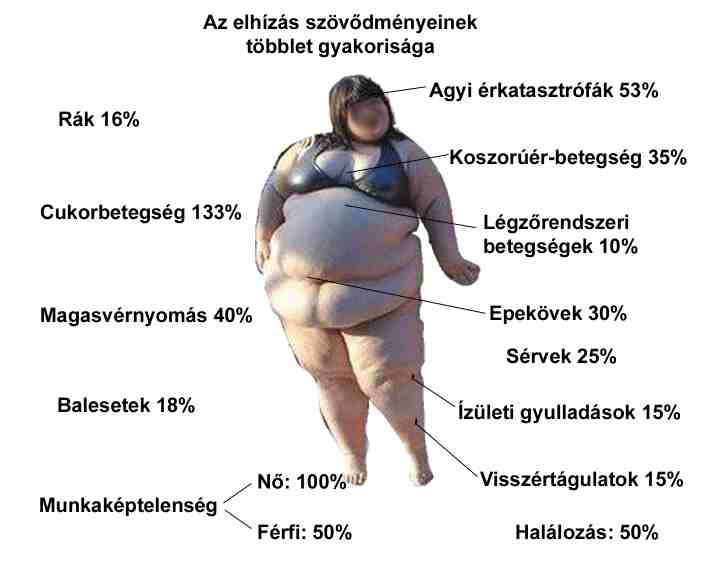 elhízott fogyni)