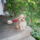 Szuzi_343198_71922_t