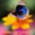 373a8f7288f10ba4e7c75eebca01bc64_344128_42340_t