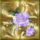 a8aa6c562078826a6d58500e0c5318d5_we