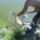 Dsc00208_344537_37144_t