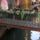 Egy_hid_velenceben_344409_70687_t
