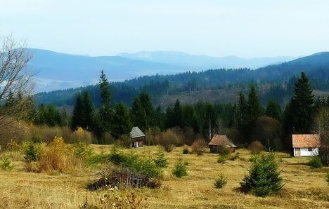 GORGENYI HAVASOK-LIBAN TETO