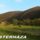Mesterhaza_344696_89517_t