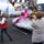 Karneval_2009_15_347591_29415_t