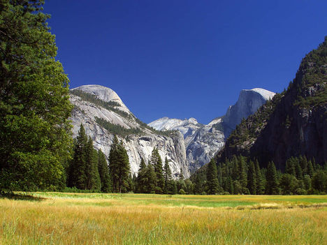 yosemite-meadows