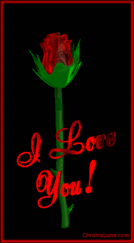 3d_i_love_you_rose