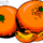 Oranges_352109_86087_t