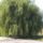 Cimg4889_353664_80897_t