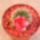 Gymnocalycium-003_353131_35414_t