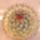 Mammilaria_microhelia_353130_67025_t
