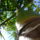 Megpihenve_353558_61918_t
