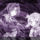 Kiddy_grade_009_354095_18589_t
