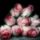 Rozsa_1_355062_34465_t