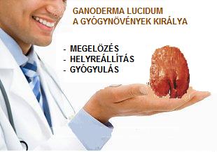 ganoderma