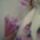 Dsc05822_358290_99076_t