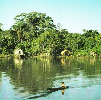 Amazonas - Brazilia