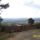 Leith_hill_surrey_363501_46219_t