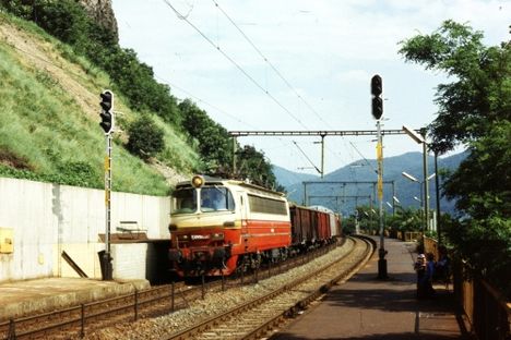 Szlovákok a  Dunakanyarban