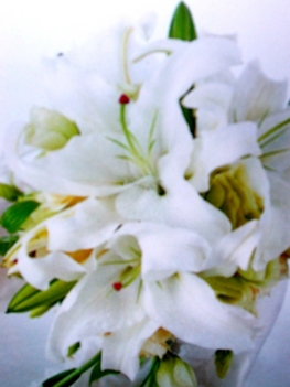 White Lilium Bouquet  P2000
