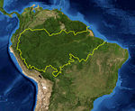 150px-Amazon_rainforest