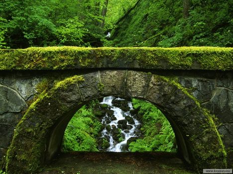 Shepperd's_Dell_State_Park-Oregon-USA