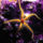 Mindenfele_allatok_11_373428_39858_t