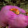 Mindenfele_allatok_19_373436_63640_t