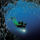 Mindenfele_allatok_22_373439_90880_t