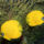 Mindenfele_allatok_23_373440_39274_t
