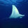 Mindenfele_allatok_26_373443_60629_t
