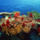 Mindenfele_allatok_29_373446_40415_t