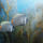 Mindenfele_allatok_2_373419_26628_t