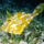 Mindenfele_allatok_30_373447_87381_t