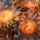 Mindenfele_allatok_6_373423_20361_t