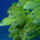 Mindenfele_allatok_8_373425_34721_t
